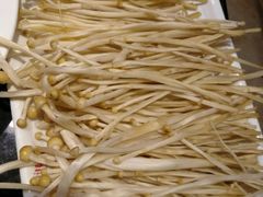 -红鼎坊·老成都火锅(新南门店)