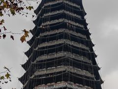 -红梅公园