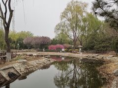 -东升八家郊野公园