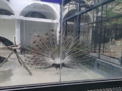 -荆州中山公园动物园