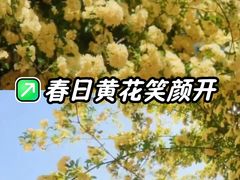 -顾村公园3号门停车场