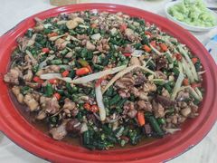 -东吴霸王兔(松青路店)