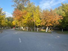 -长白岛森林公园