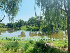 -东郊湿地公园