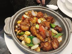 -新兴·金羊座·粤菜点心(乐峰店)