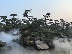 -罗红摄影艺术馆