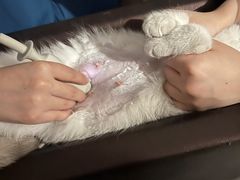 -萌兽医馆·犬猫专科·眼科中心·宠物医院(朝阳门分院)