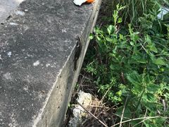 -木兰云雾山