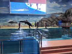 -福州罗源湾海洋世界旅游区