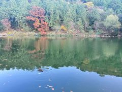 -香山公园