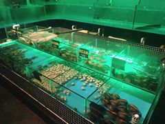 水产区-JUKEBOX玖部音乐餐厅(华侨城店)