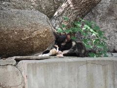 -天津盘山风景名胜区