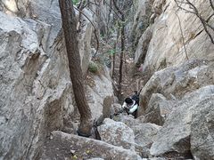 -龙洞风景区-藏龙涧