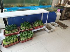 水产区-1910老鲁味海鲜·戳子肉·青岛菜(金沙滩店)