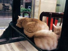 -巧云大馄饨(南阴阳营总店)