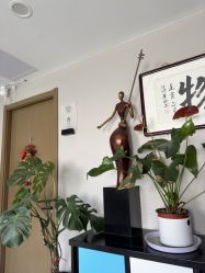 -阅年轻·AI家庭健康体质调理