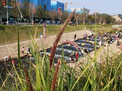 -光明小镇欢乐田园
