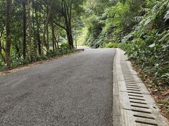 -广州市帽峰山景区