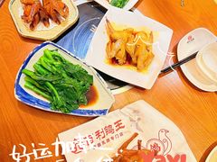 -百利鸽王(紫薇路店)
