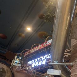 -卡通尼·Safari非洲探索乐园·生日会(金桥国际商业广场店)