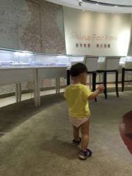 -Zbird钻石小鸟·钻戒婚戒定制高端珠宝私人定制中心