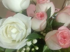 -循礼门鲜花花市(武汉循礼门店)