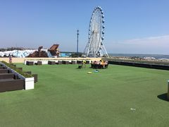 -秦皇岛乐岛海洋王国