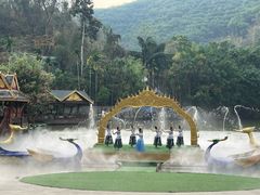 -西双版纳原始森林公园