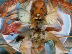 android_upload_pic-天津乾毓德饭庄·清真传统炒菜·海鲜烧烤(咸阳路店)