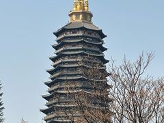 -红梅公园