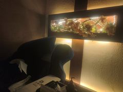 -大桶大足浴(陈春路店（3公里左右免费接送）)