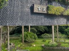 -云溪植物园