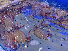 -澜悦港海鲜体验主题餐厅