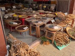 -龙川佗城