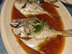 清蒸拖网斗鲳鱼-闽海肴(北辰荟店)