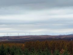 -塞罕坝国家级自然保护区