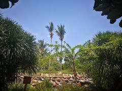 -三亚亚龙湾天域度假酒店