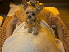 -菩泰·泰式草本按摩SPA(武汉新天地南馆店)