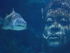 -暹罗海洋世界