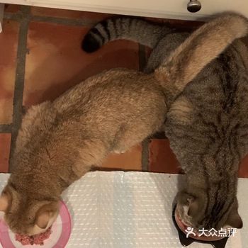 - 曾菩提 没有呀，蛮合适的