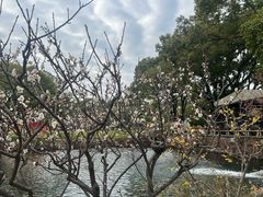 -无锡梅园公园