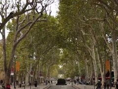 环境-上海市第一师范学校附属小学