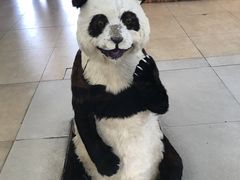 -北京鹿世界主题园