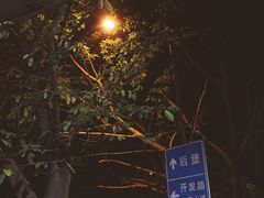 -山东水饺(南坪新街店)