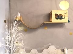 -猫爷宠物生活馆·撸猫馆
