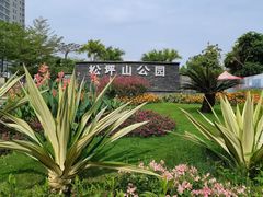 -松坪山公园