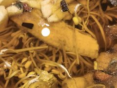 -鑫巴蜀小镇 · 水煮鱼专研店(玉桥店)