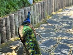 -扬州瘦西湖温泉