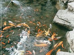 -森谷美食公园(杨行店)