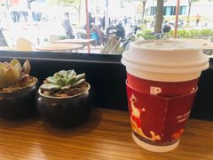 -Peet's Coffee皮爷咖啡(大学路店)